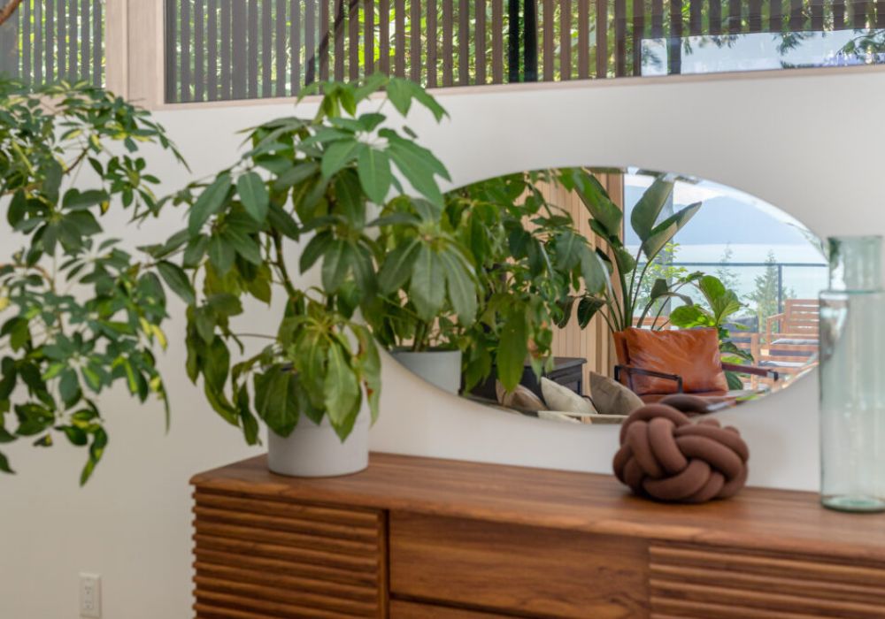 Enjoy the plants throughout that brighten the home.