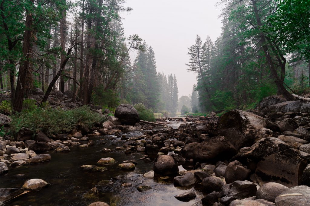 Our Snoqualmie Pass cabin offers easy access to the iconic Pacific Crest Trail, ideal for guests seeking memorable hikes and expertly managed accommodations.